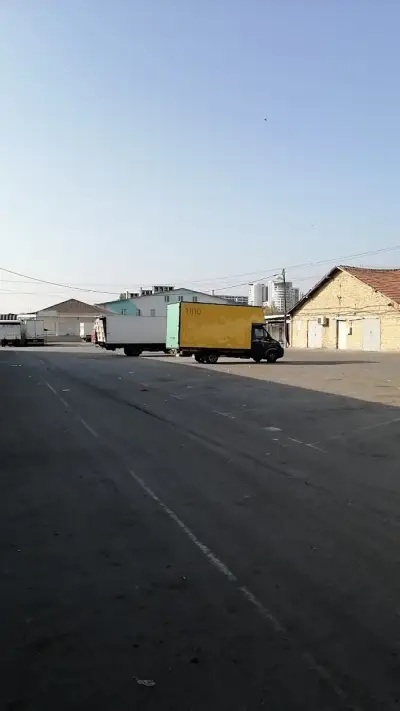 Зеленчукова борса