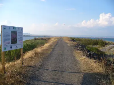Поморийска пясъчна коса