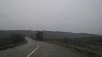 Джамия Зелена морава