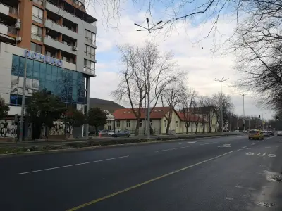 Шами