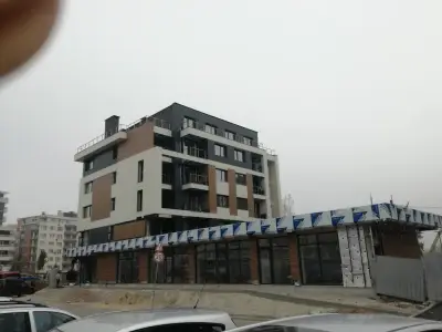 Оазис