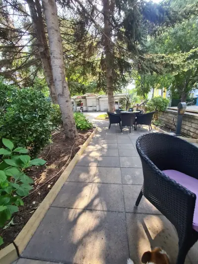 Парадайс