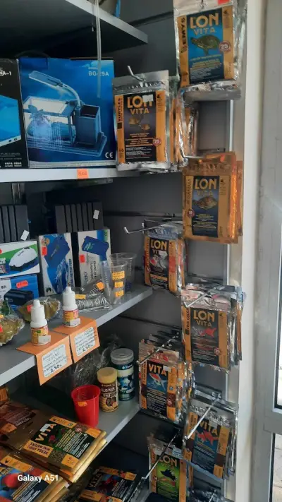 Зоомагазин Каспър
