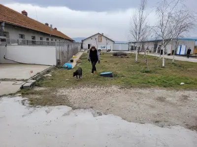 Animal Rescue Sofia