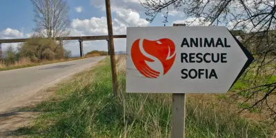 Animal Rescue Sofia