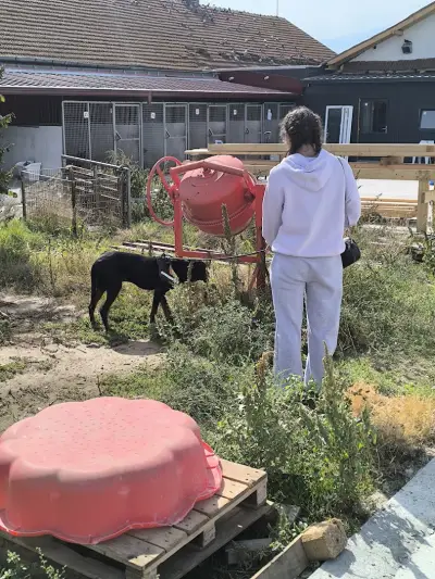 Animal Rescue Sofia