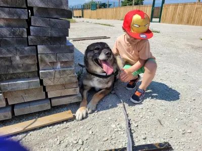 Animal Rescue Sofia