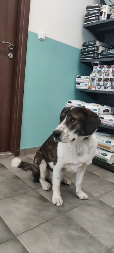 Ветеринарна клиника "Анимейт" / Animate Veterinary Clinic
