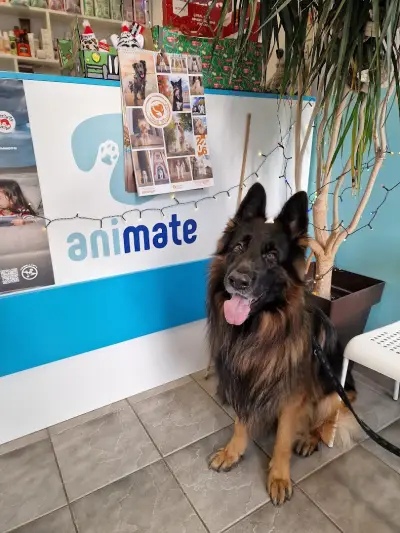 Ветеринарна клиника "Анимейт" / Animate Veterinary Clinic