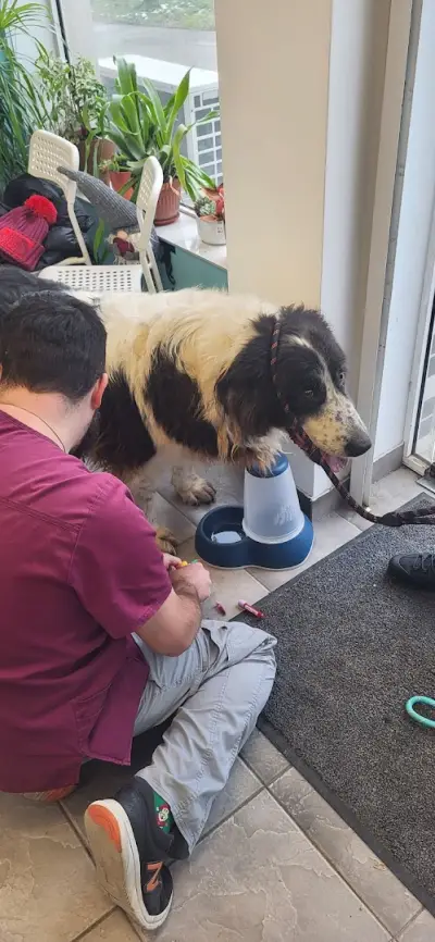 Ветеринарна клиника "Анимейт" / Animate Veterinary Clinic