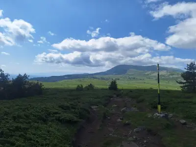 Връх „Камен дел“
