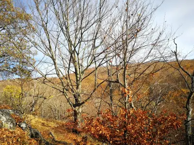 Извор "Живата вода"