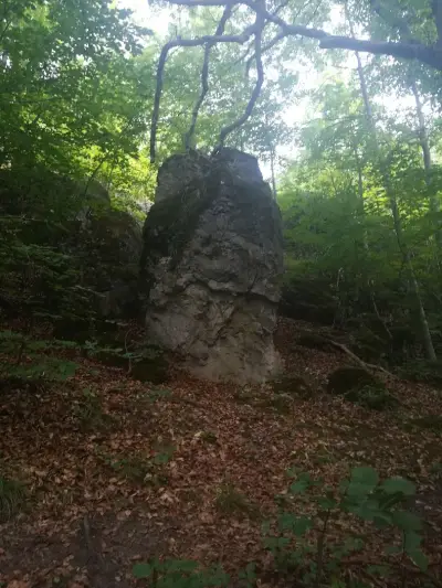 Извор "Живата вода"