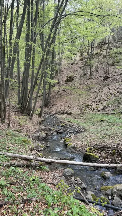 Извор "Живата вода"