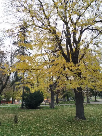 Парк Света Троица