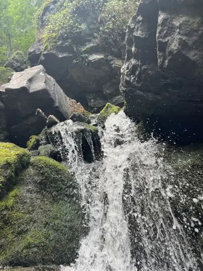 Боянски водопад