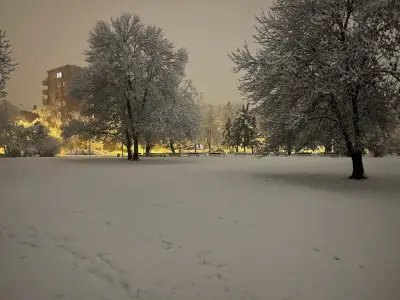 Парк „Хиподрума“