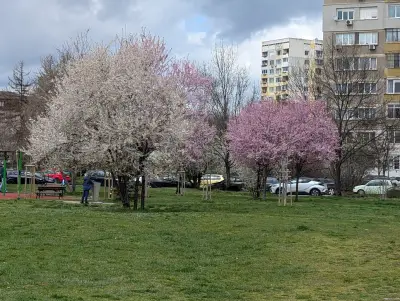 Парк „Хиподрума“