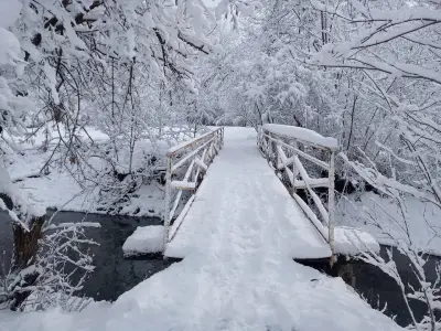 North Park