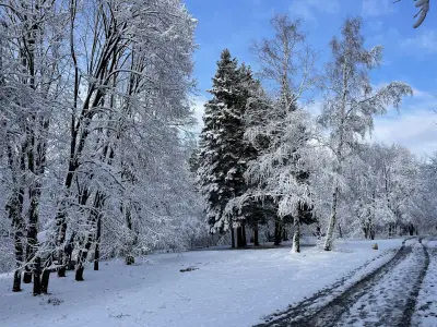 Западен парк
