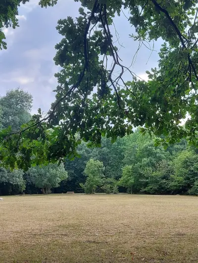 Loven park