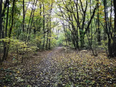 Loven park
