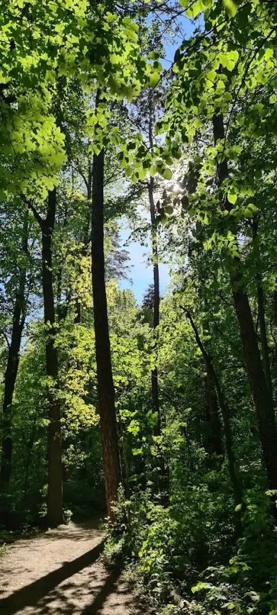 Loven park