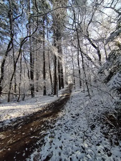 Loven park