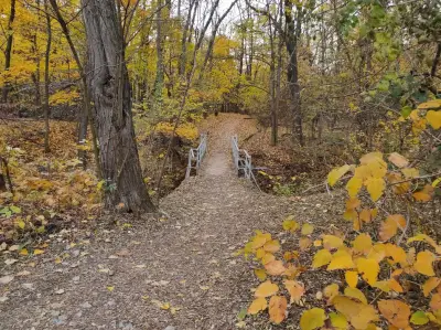 Loven park