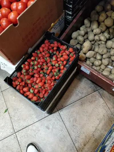 Оги