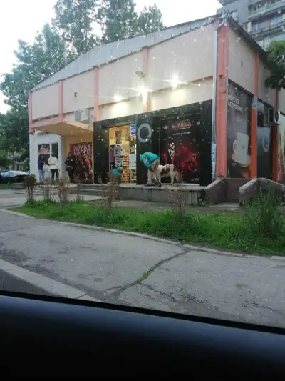 Куик суходолска 2