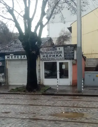 МЦ "ПанСанус"