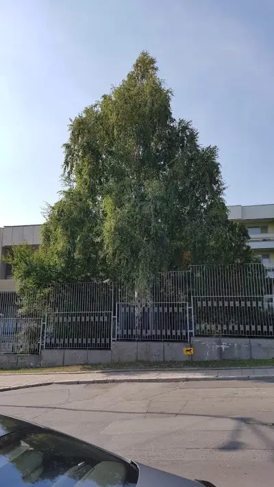 Посолство на Руската Федерация (Консулски отдел)