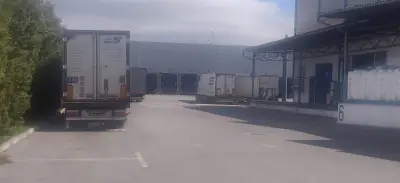 М & М Милицер и Мюнх БГ