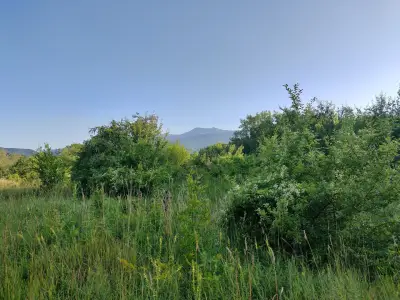 Парк "Въртопо"