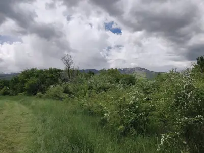 Парк "Въртопо"
