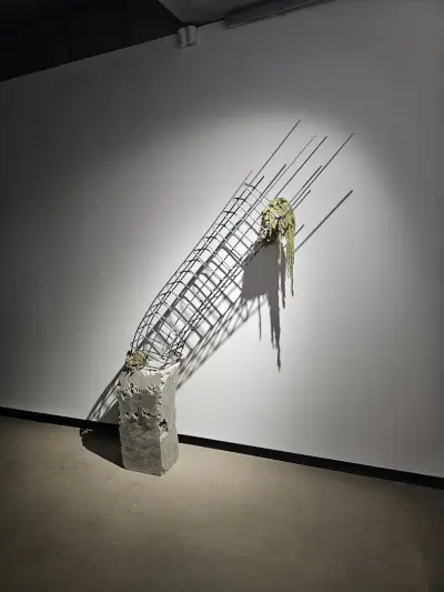 Doza Gallery