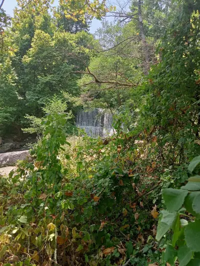 Waterfall