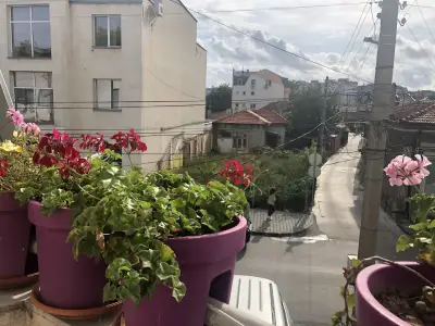 illusion