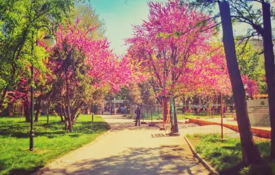 Пеещите фонтани