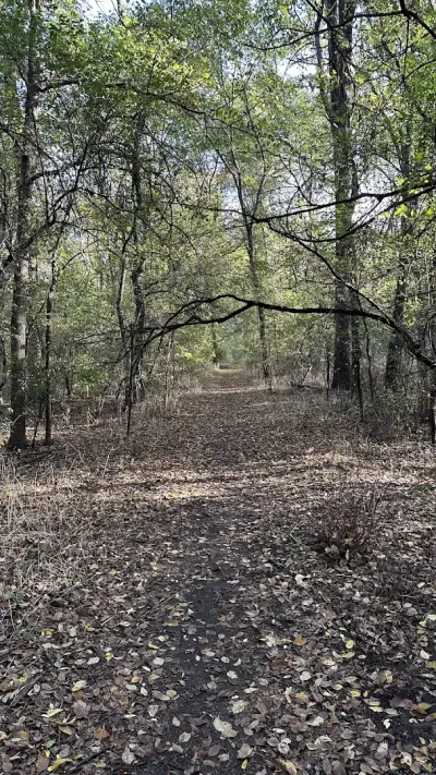 Парк Лаута