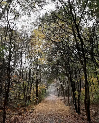 Парк Лаута