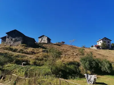 КЪЩА ЗА ГОСТИ КЕСТЕН