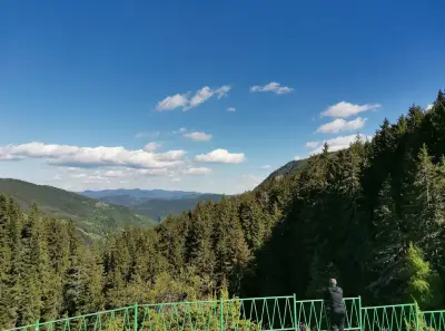 Чудните мостове