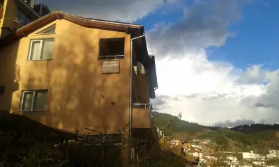 Къща за гости ,,Родопи"