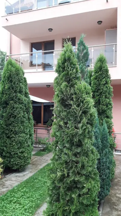 Хотел Цветелина Палас