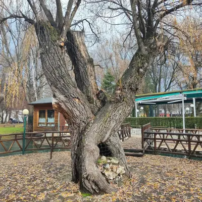 Da Gianni bar & ristorante