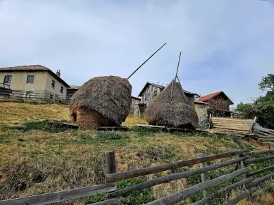 Къща за гости Орцево
