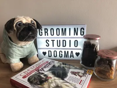 DoGma Grooming Studio