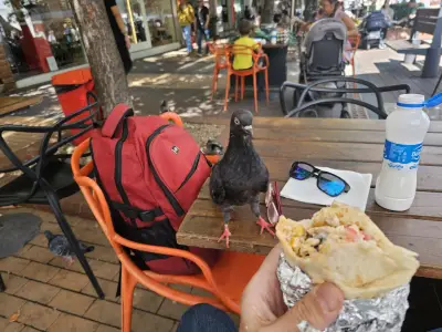 Senior burrito